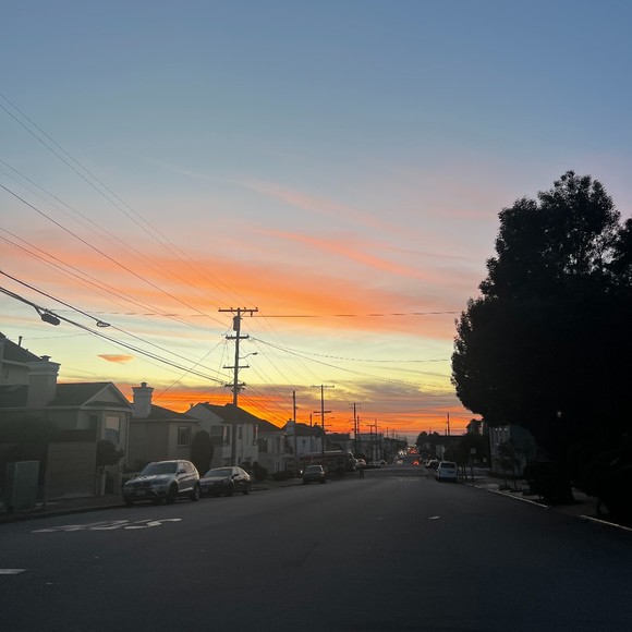 Meet your Posher, Stella - Picture 1 of 1